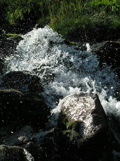 p8130996