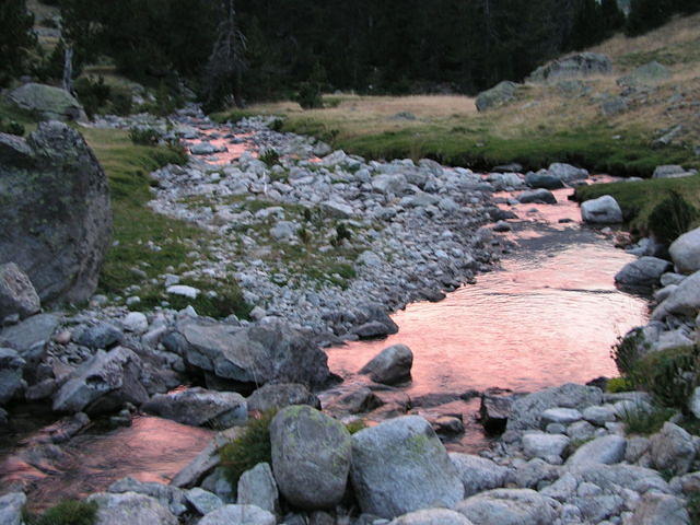 p8141034