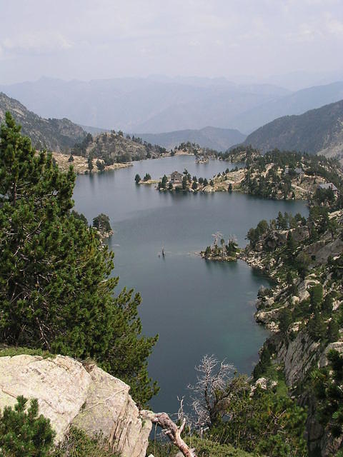 p8161056