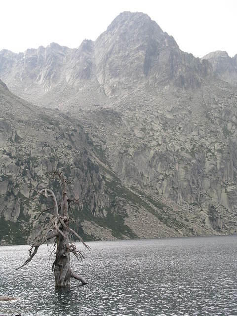 p8161058