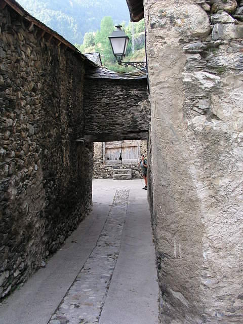 p8171067