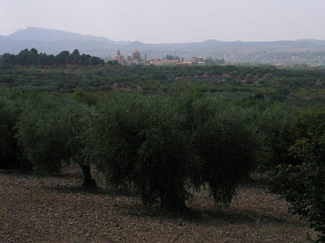 p8201163
