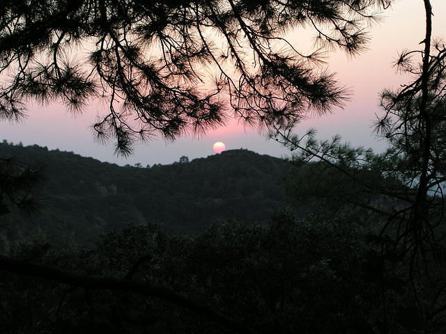 p8201177