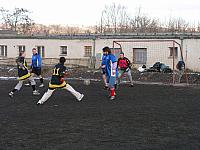 1208-Eukaryota-S_holkama