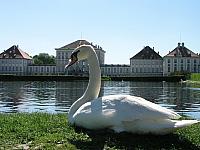 0530-Munich-Nymfenburg