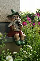 20070705_Sykorky_salaty