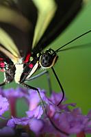 San Francisco photography