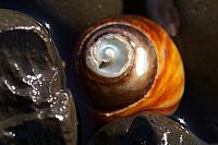 Fitzgerald Marine Reserve